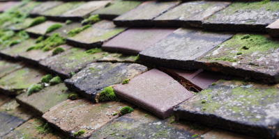 Lunt roof repair costs